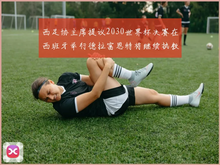 西足协主席提议2030世界杯决赛在西班牙举行德拉富恩特将继续执教国家队