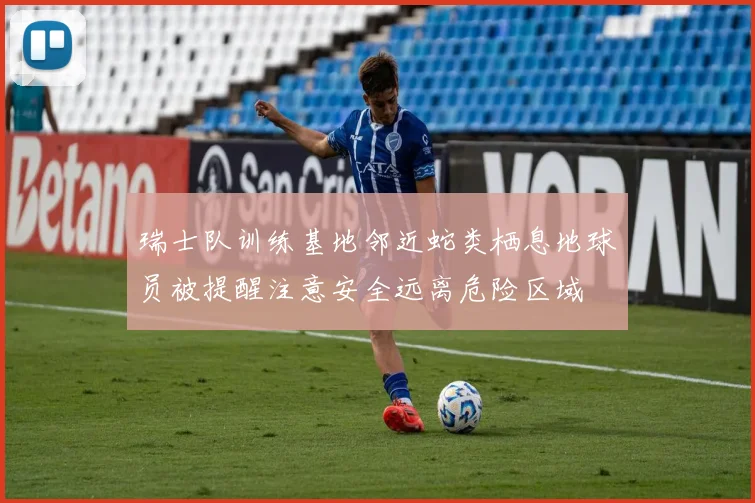 瑞士队训练基地邻近蛇类栖息地球员被提醒注意安全远离危险区域